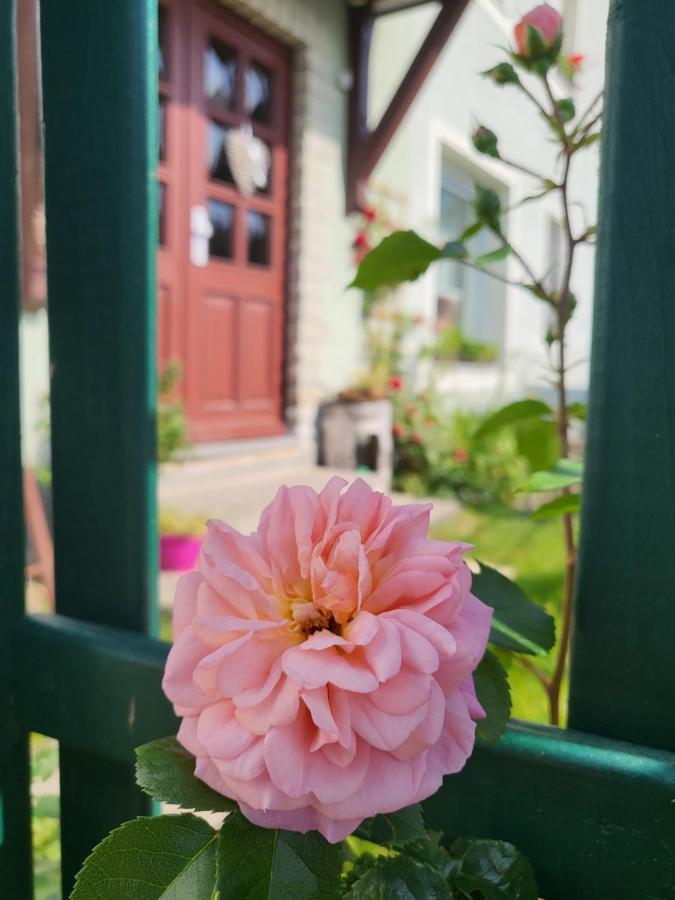 Apartment Simmert *